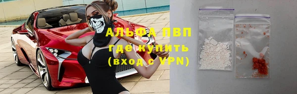 хмурый Магас