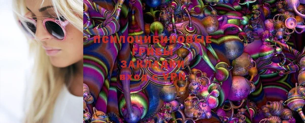 ГАЛЛЮЦИНОГЕННЫЕ ГРИБЫ Абдулино