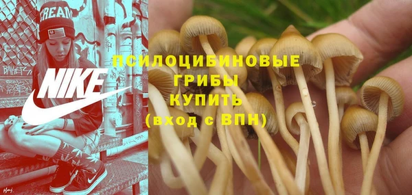 ГАЛЛЮЦИНОГЕННЫЕ ГРИБЫ Абдулино
