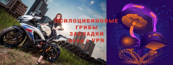 ГАЛЛЮЦИНОГЕННЫЕ ГРИБЫ Абдулино